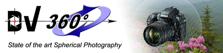 DV Digital logo and page banner